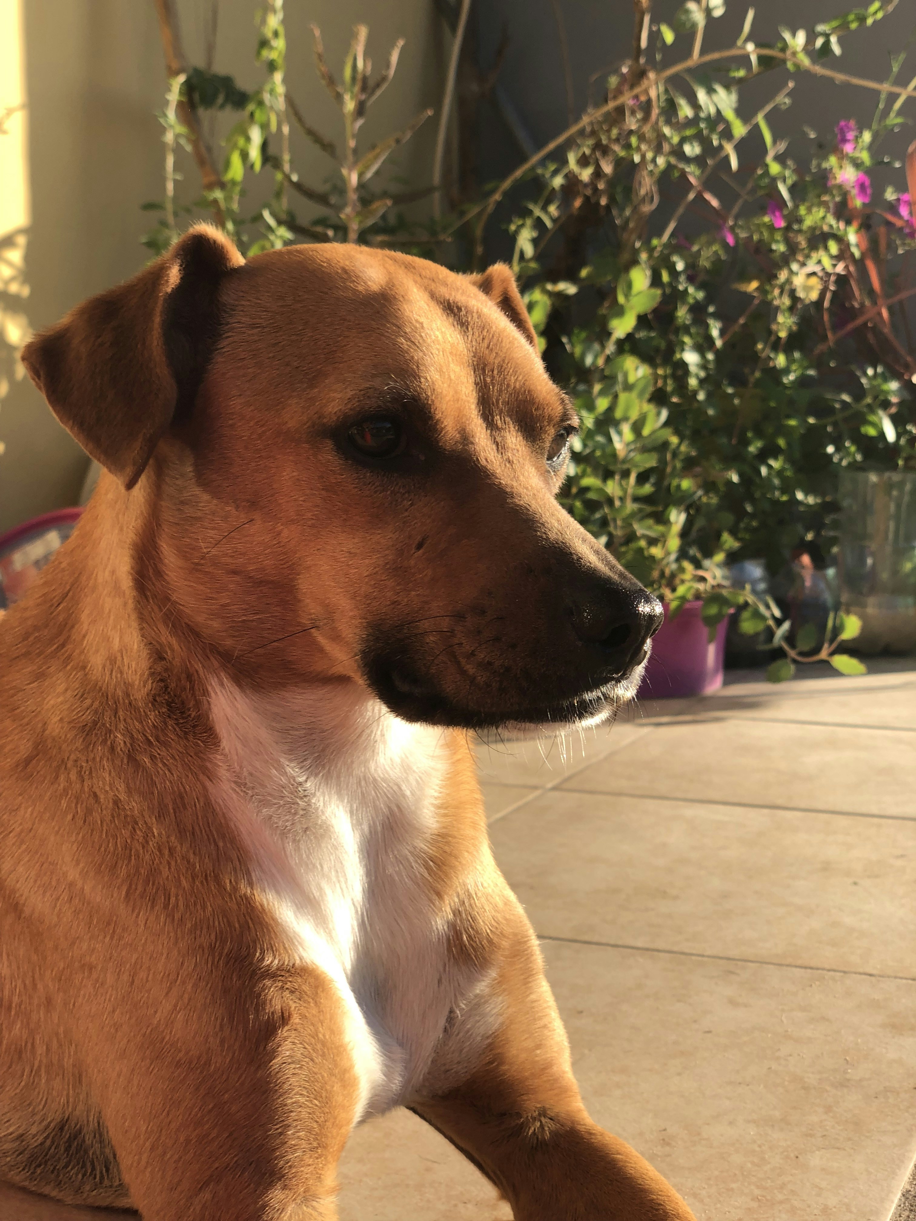 Photo by sunshinestudio82