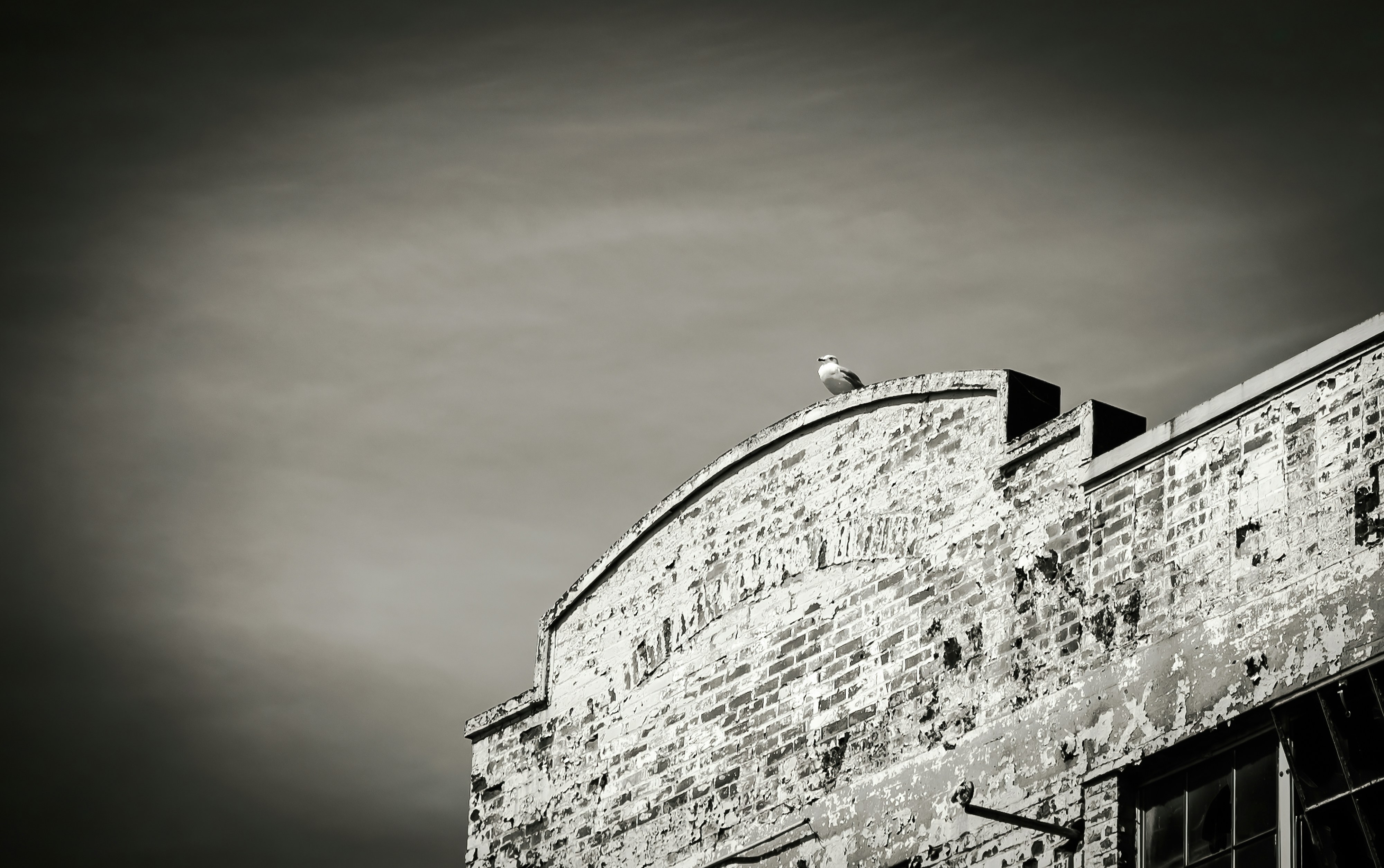 Photo by lifethroughalens