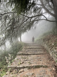 A misty pathway surrounded by dense forest with overhanging tree branches. The stone path is uneven and weathered, leading through a serene and quiet woodland area. A solitary figure is walking along the path, adding a sense of solitude and exploration.