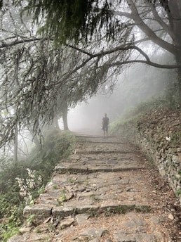 A misty pathway surrounded by dense forest with overhanging tree branches. The stone path is uneven and weathered, leading through a serene and quiet woodland area. A solitary figure is walking along the path, adding a sense of solitude and exploration.