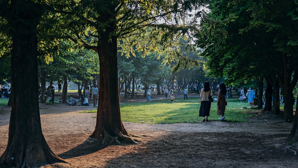 a group of people walking in a park