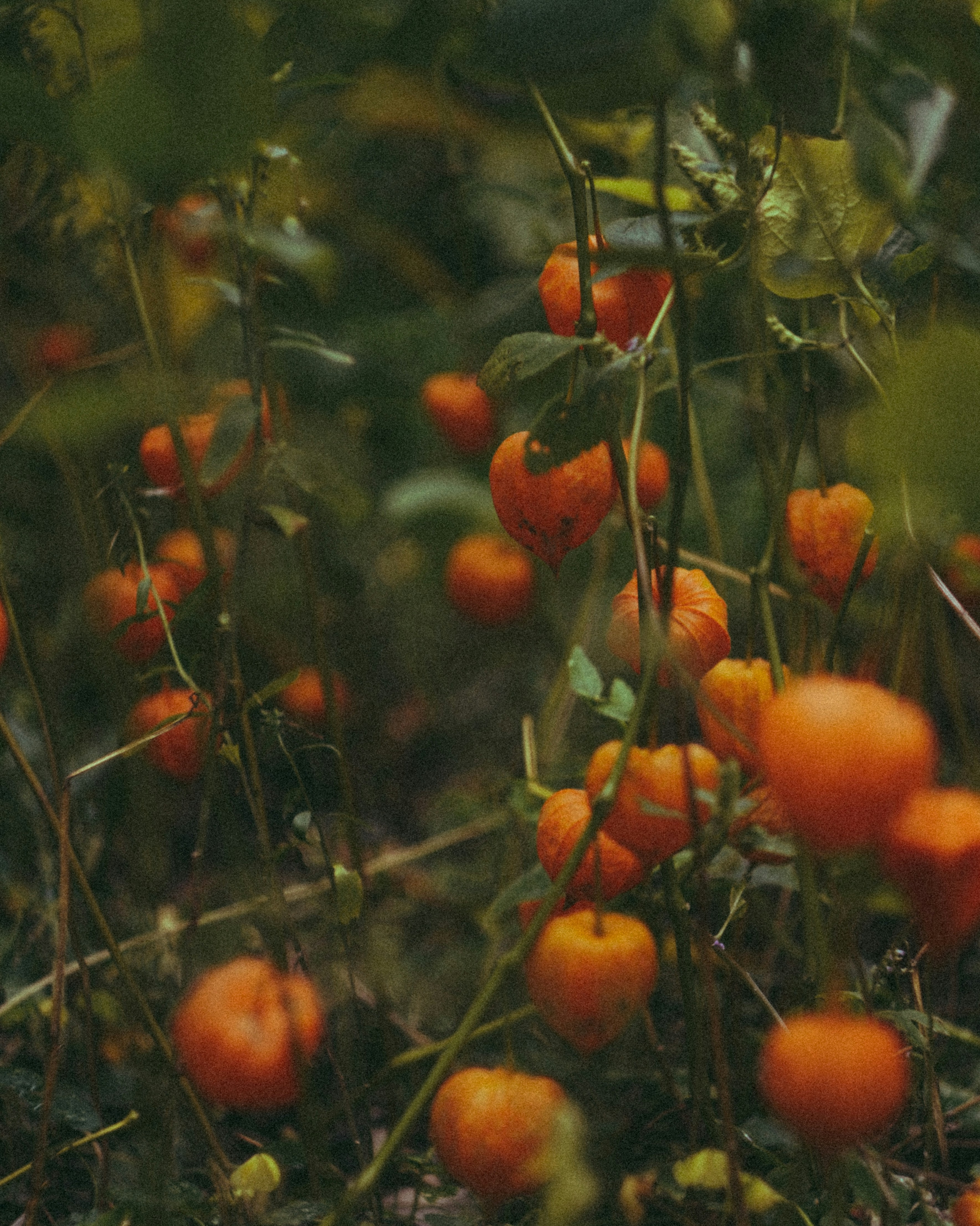 Photo by suleymanovae