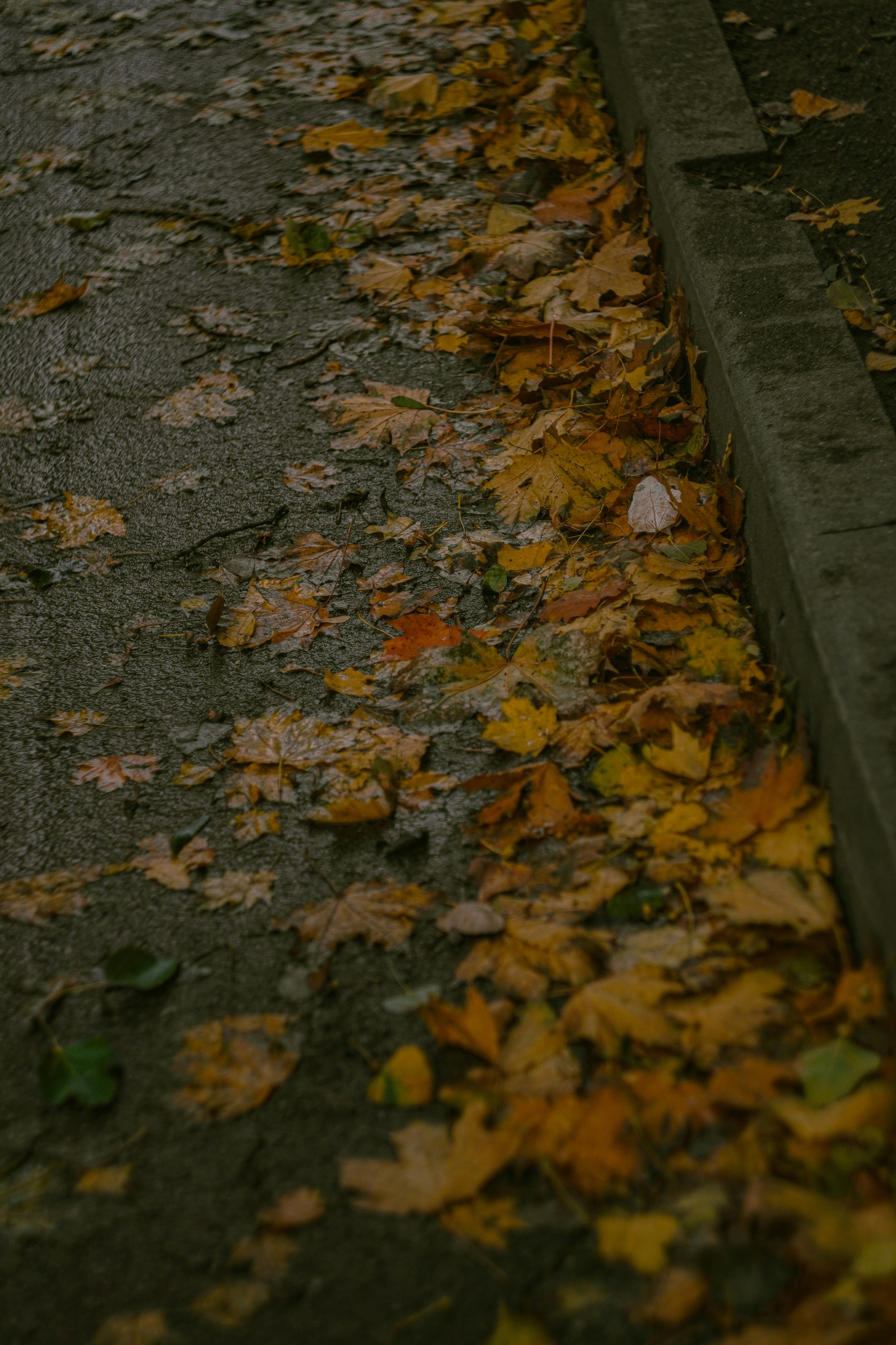 Photo by suleymanovae