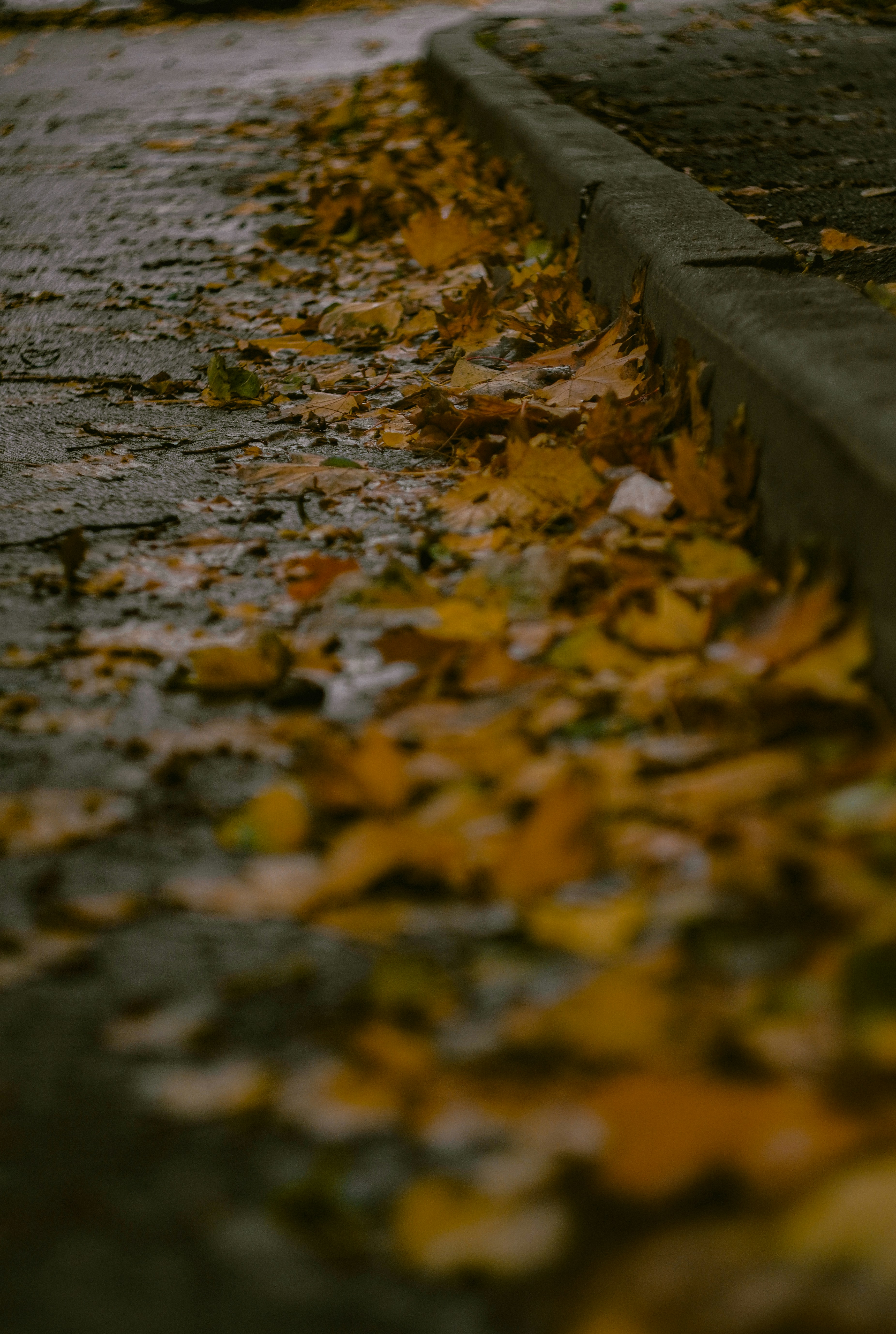 Photo by suleymanovae