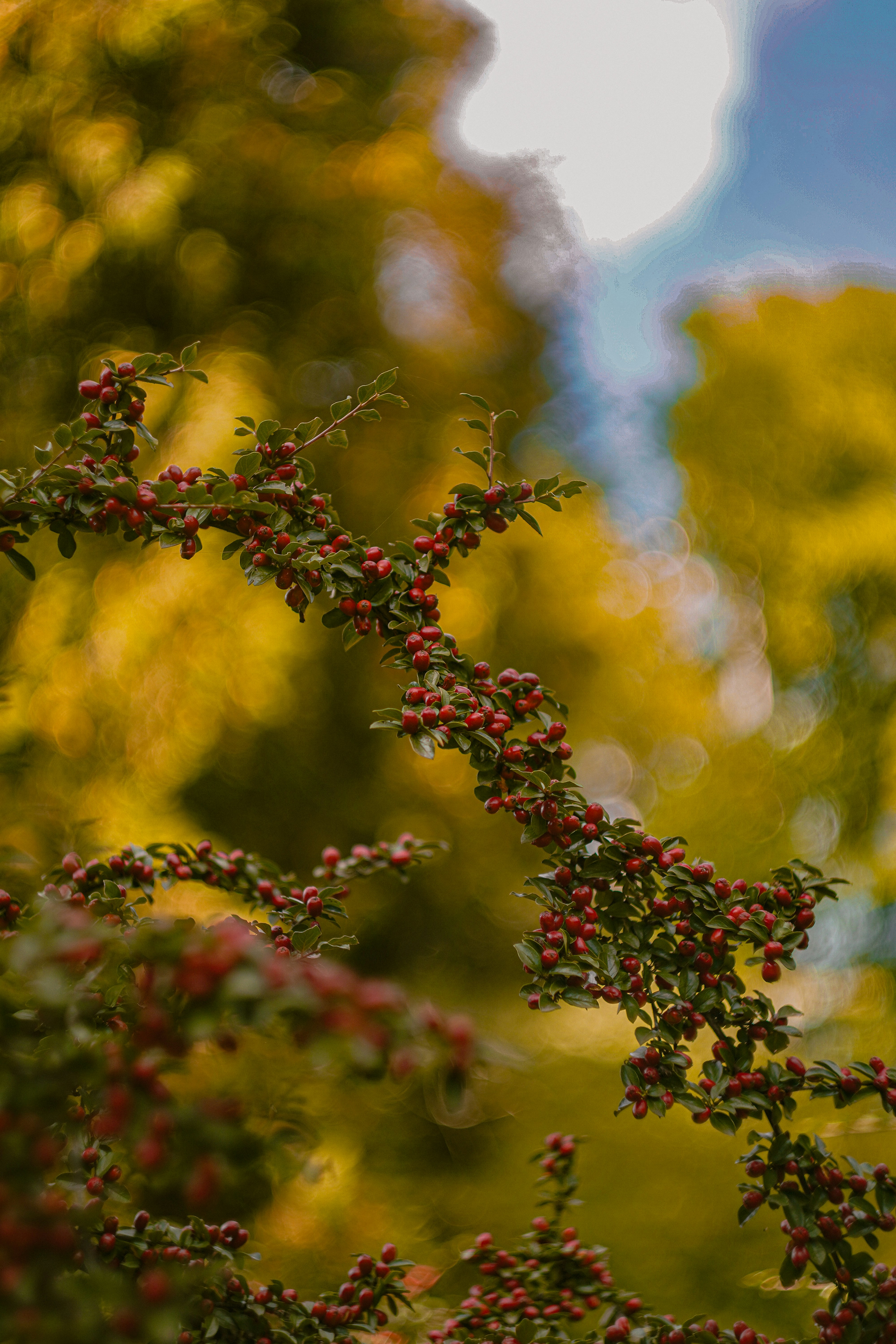 Photo by suleymanovae