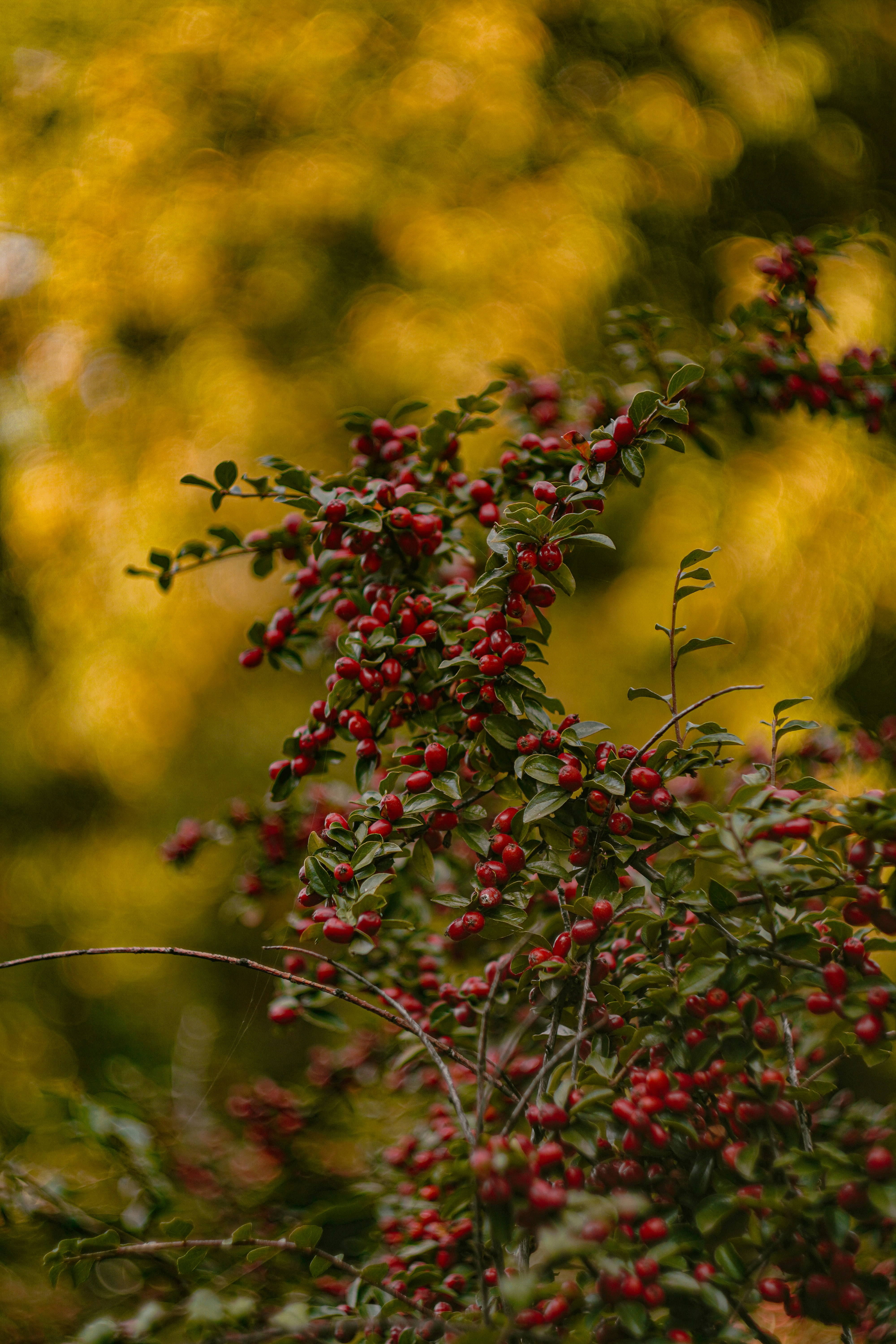 Photo by suleymanovae