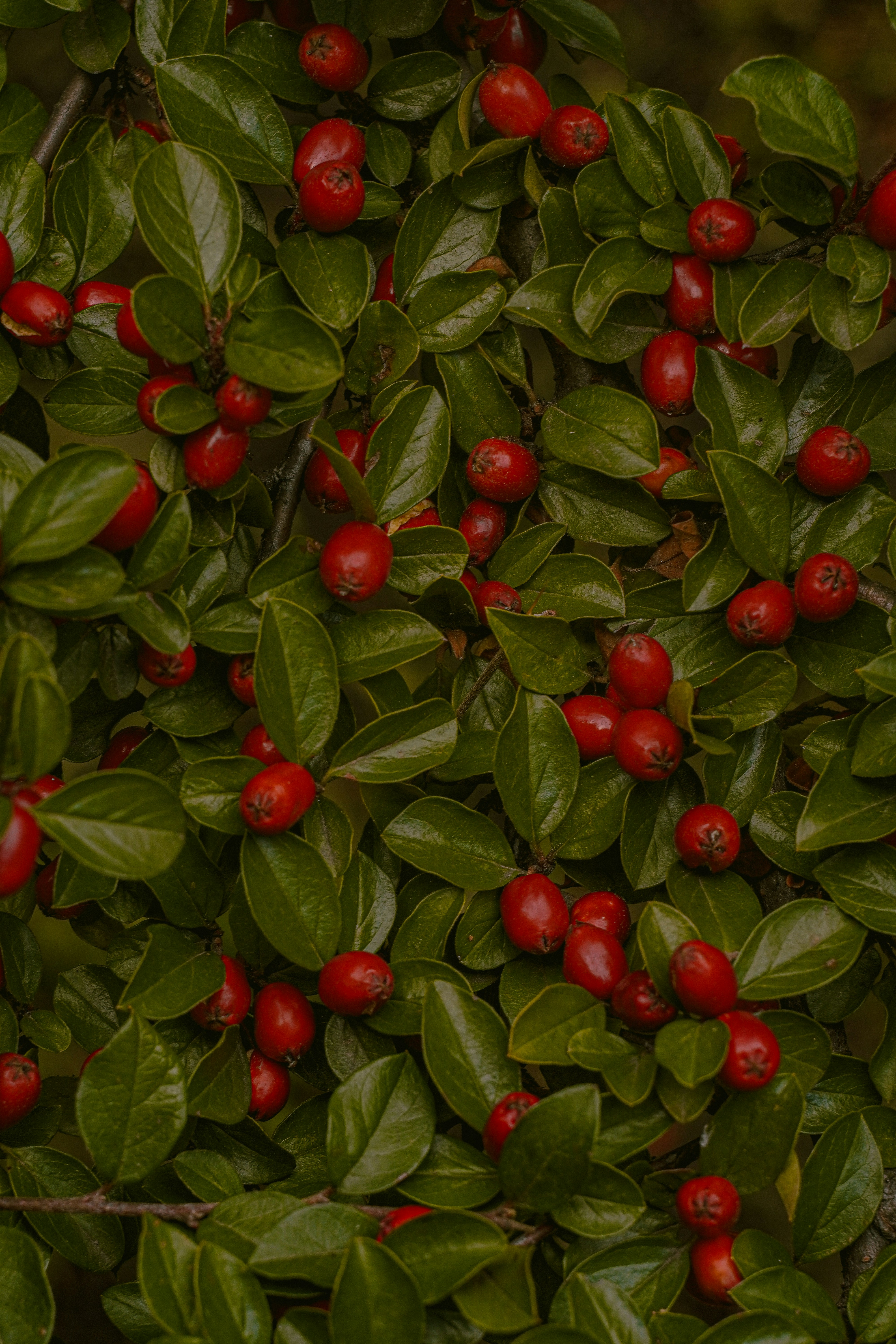 Photo by suleymanovae