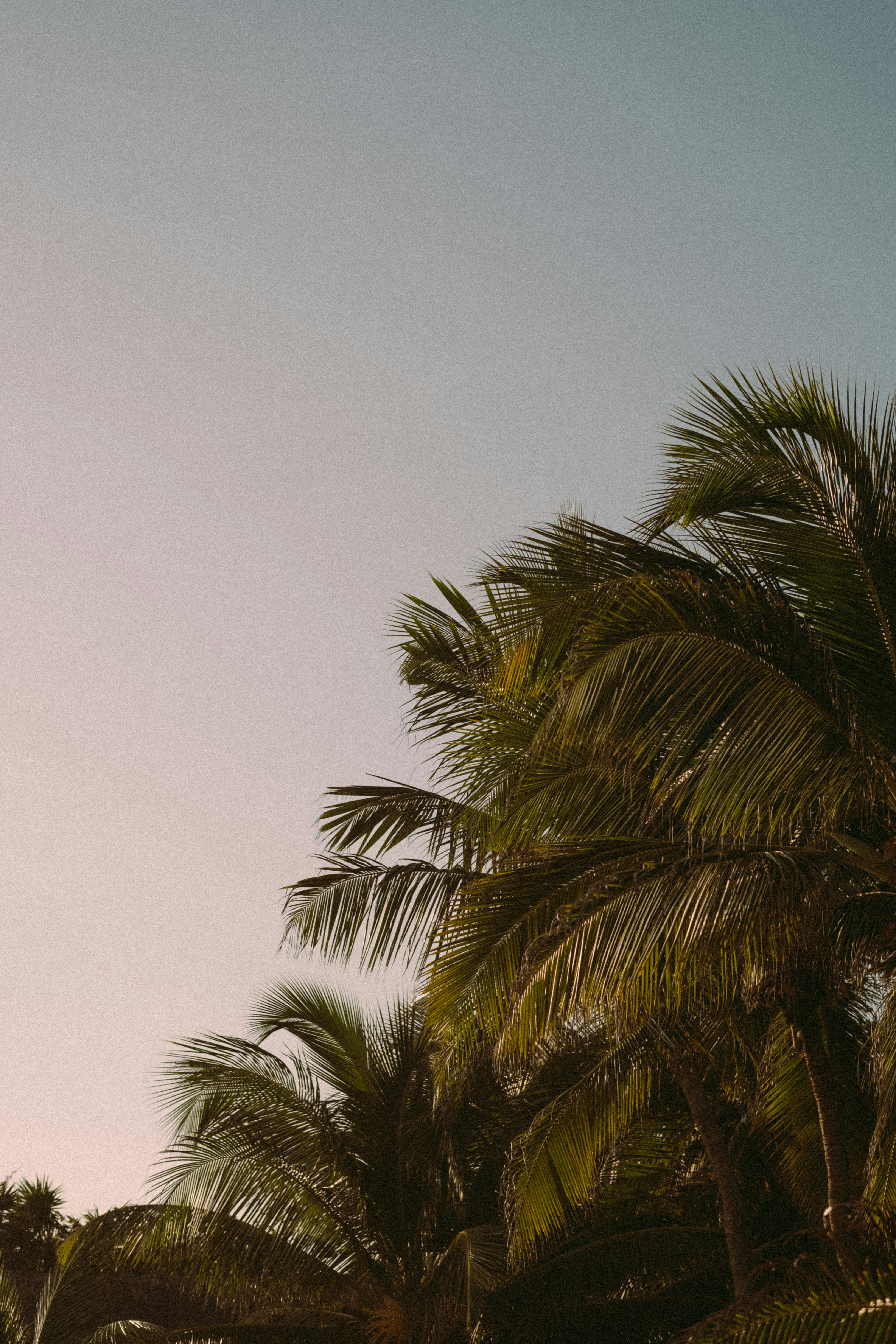 Photo by mathildelangevin