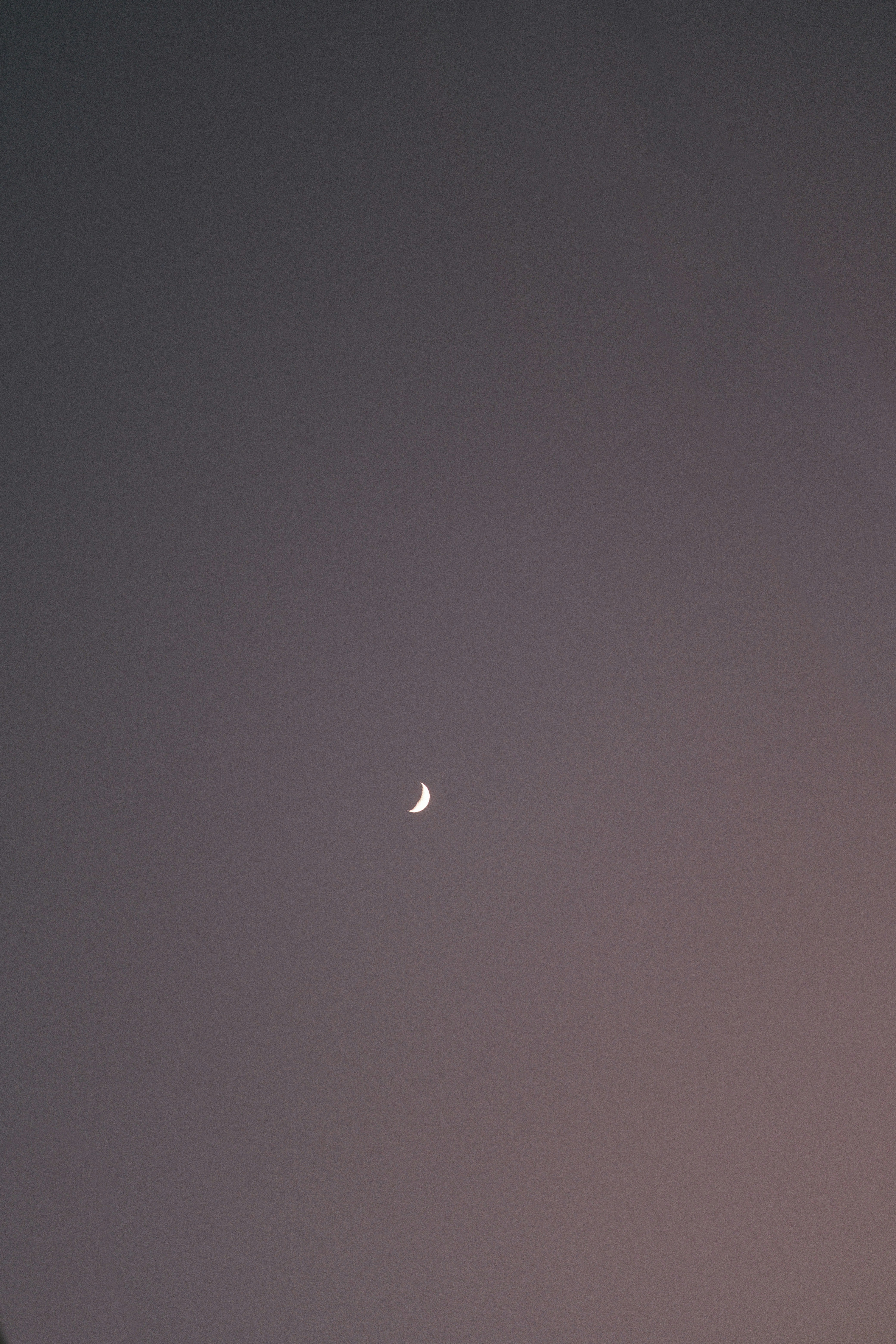 Photo by mathildelangevin