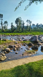 A serene river flowing through a vibrant landscape.