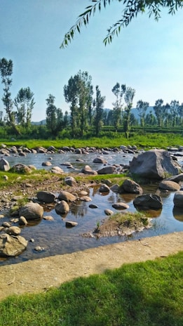A serene river flowing through a vibrant landscape.