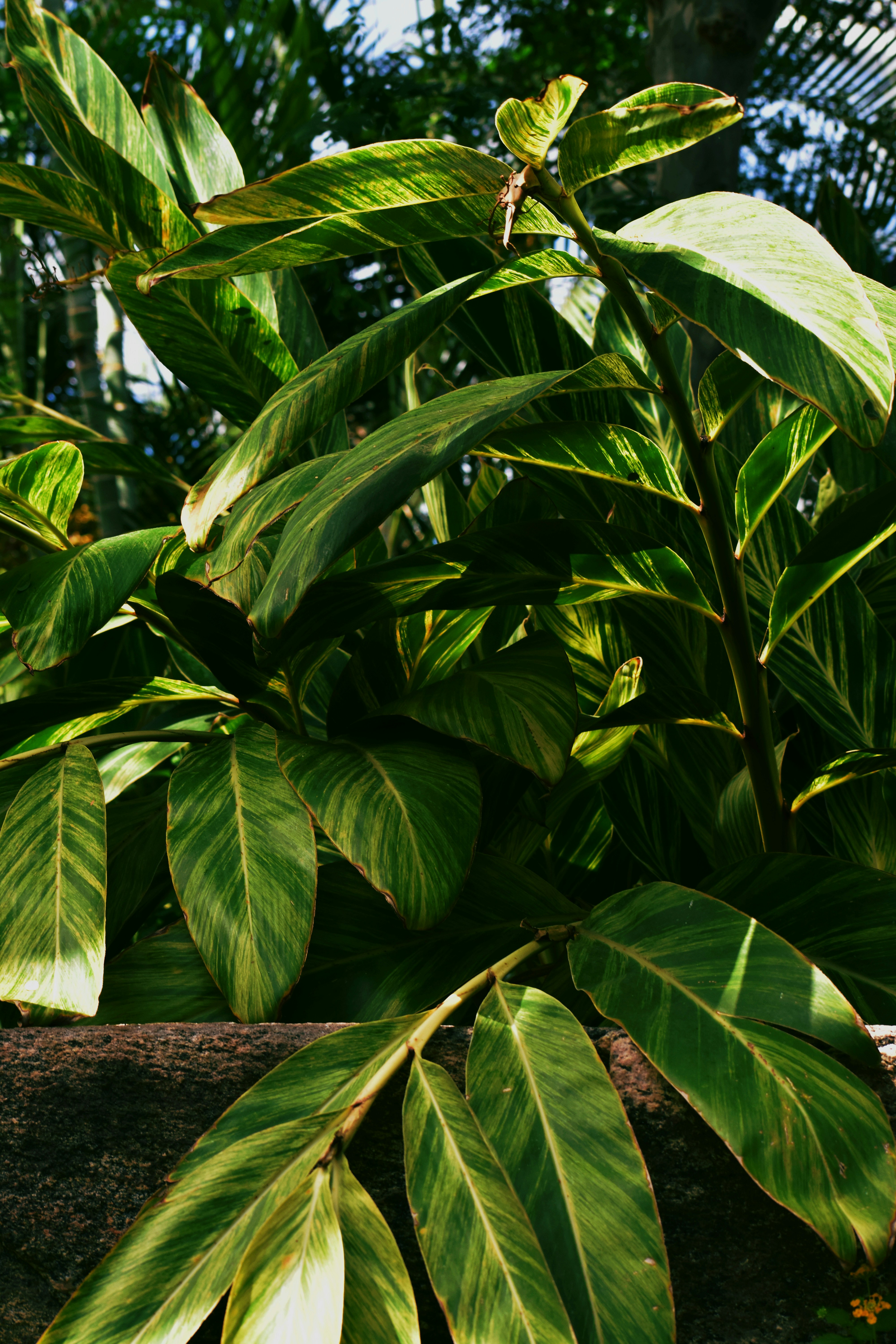 Photo by naghamguindyphoto