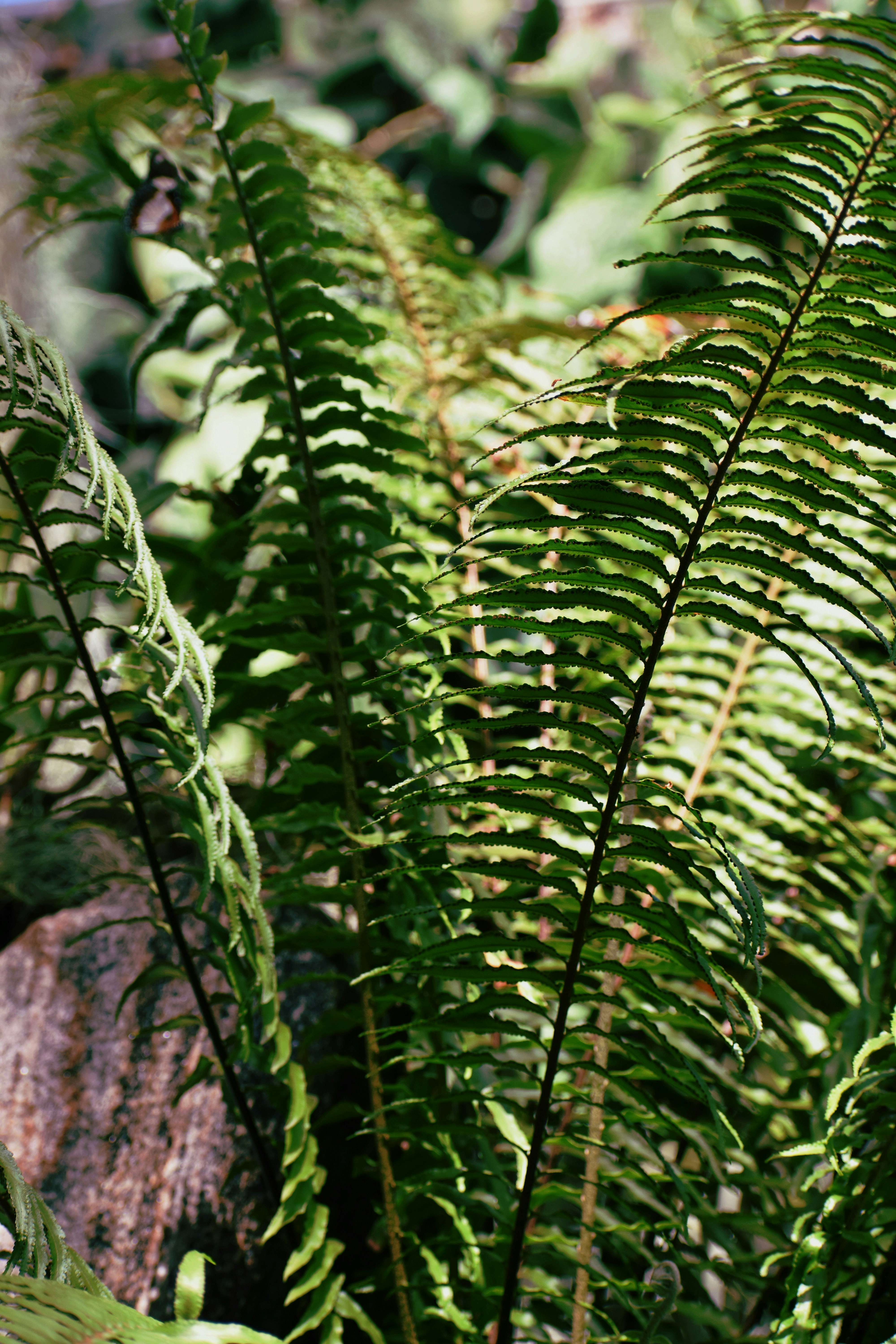 Photo by naghamguindyphoto