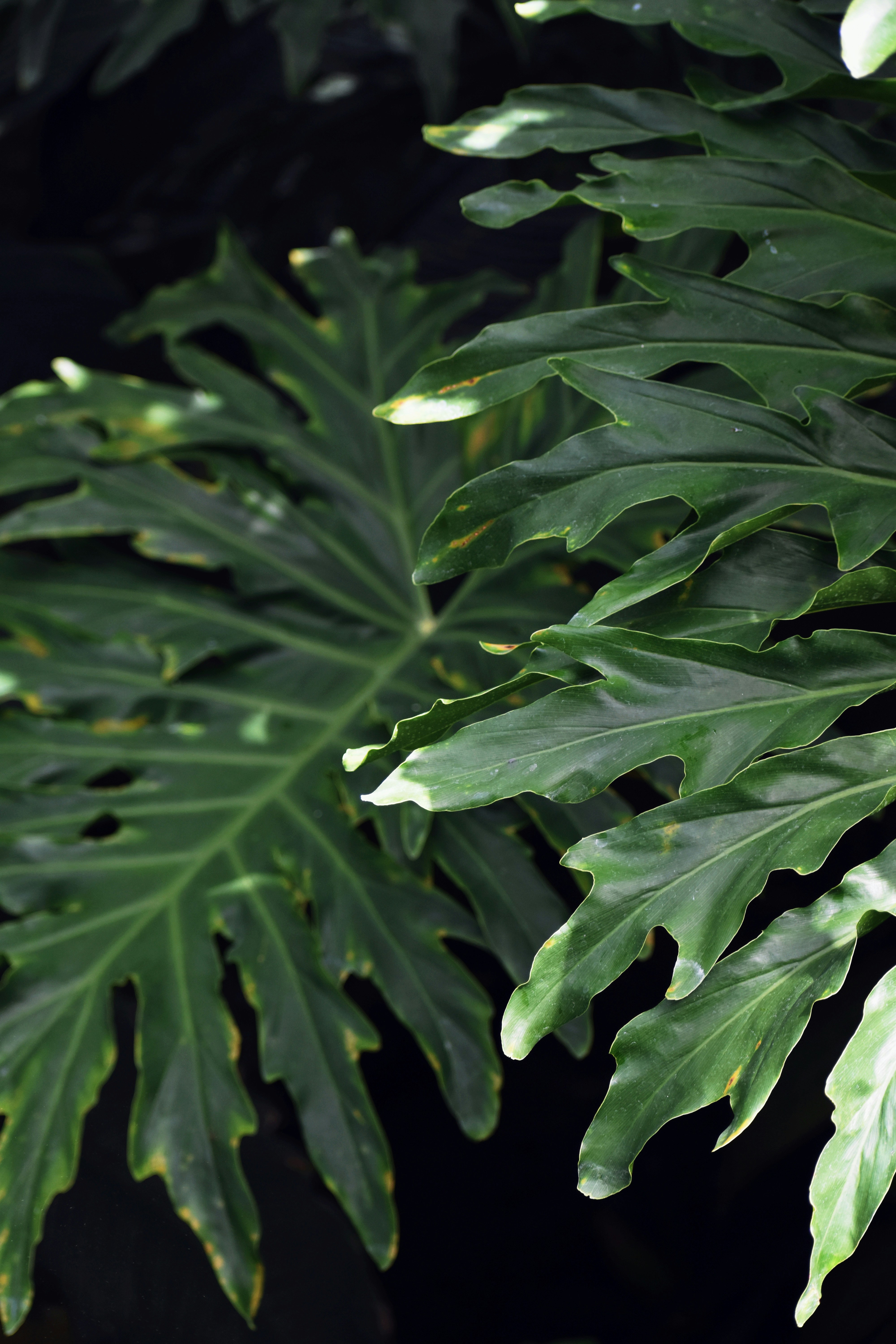 Photo by naghamguindyphoto