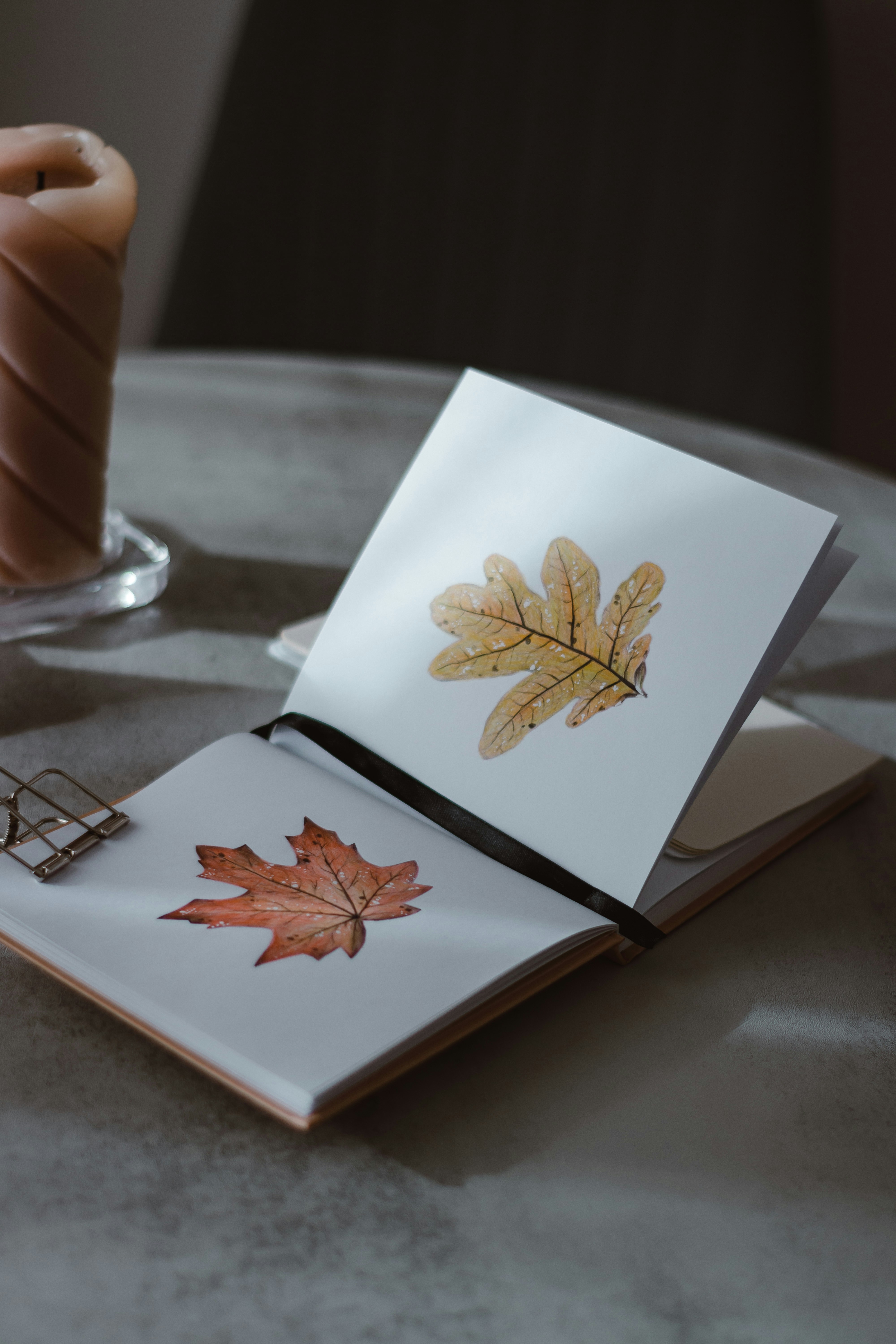 a hand holding a pen