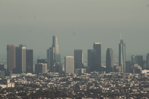 A cityscape featuring a skyline dominated by tall skyscrapers with varied designs, set against a hazy sky. The urban landscape includes numerous buildings with a mix of modern architectural styles. In the foreground, a dense sprawl of smaller structures and greenery can be seen.