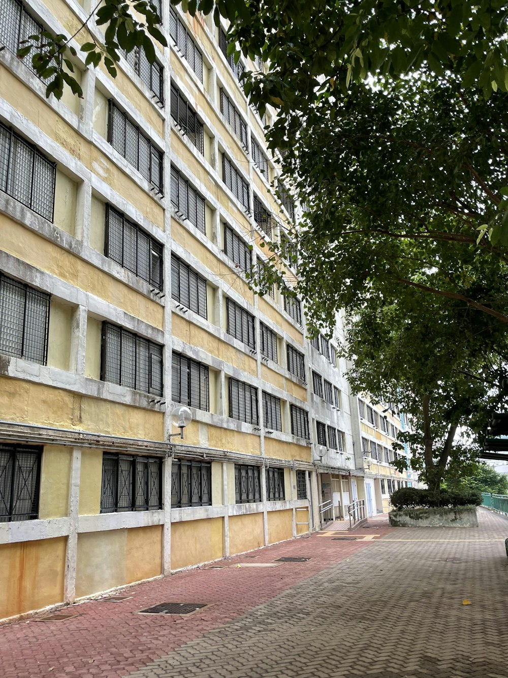 a building with a tree in front