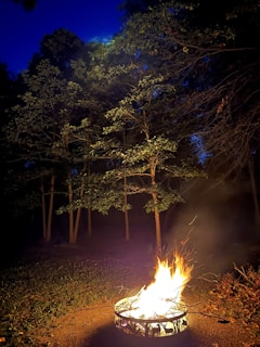A glowing fire pit surrounded by wooden chairs under a canopy of tall trees at dusk.