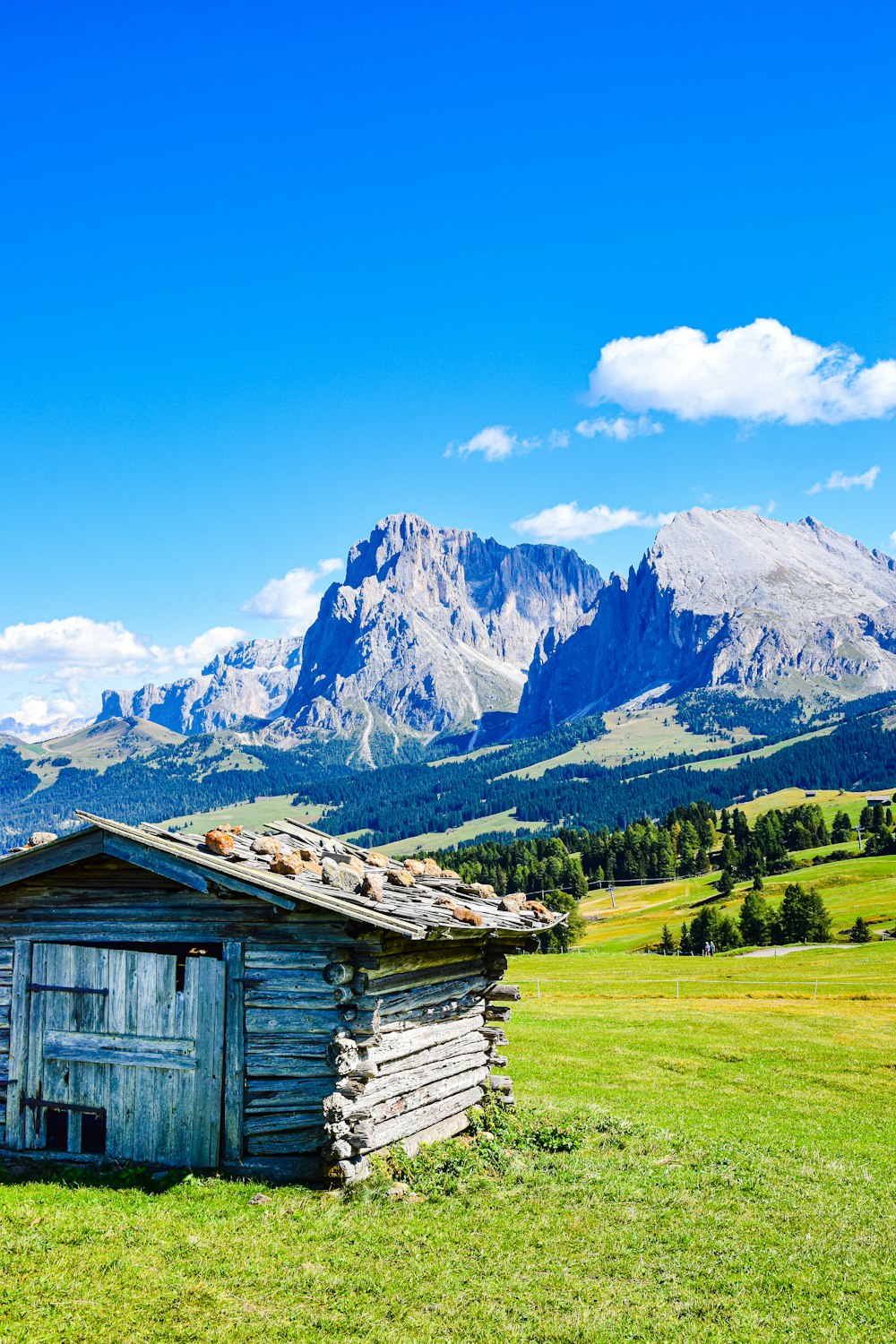 a wooden building in a grassy field with mountains in the background