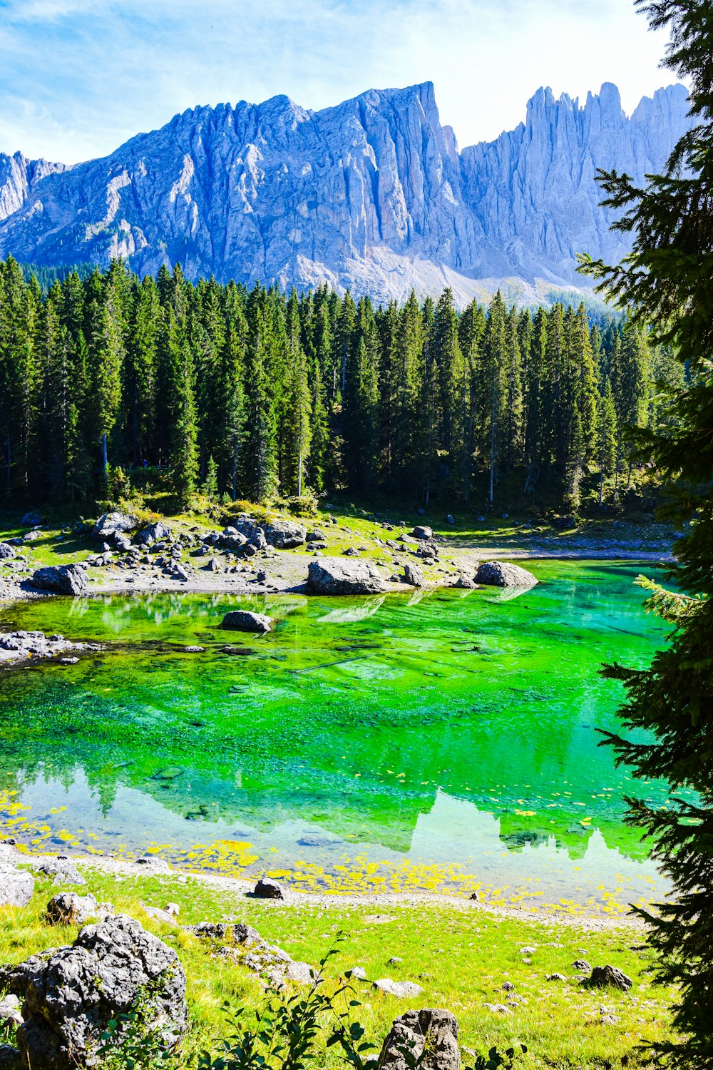 a lake surrounded by trees and mountains