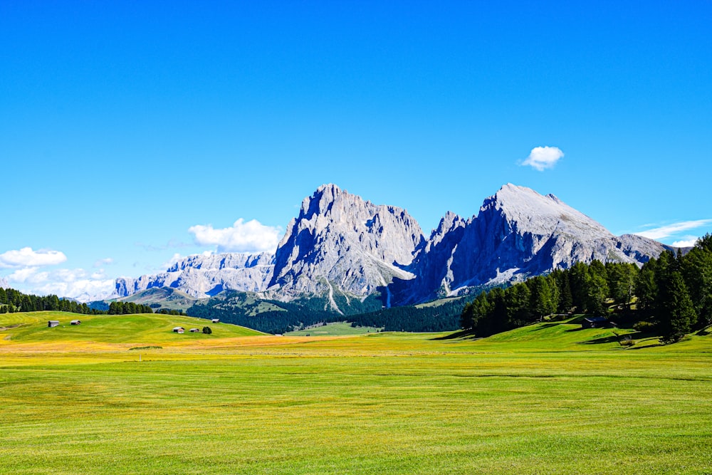 a field with a mountain in the background