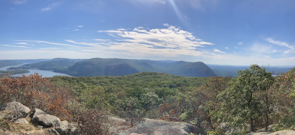 a landscape with trees and mountains in the background