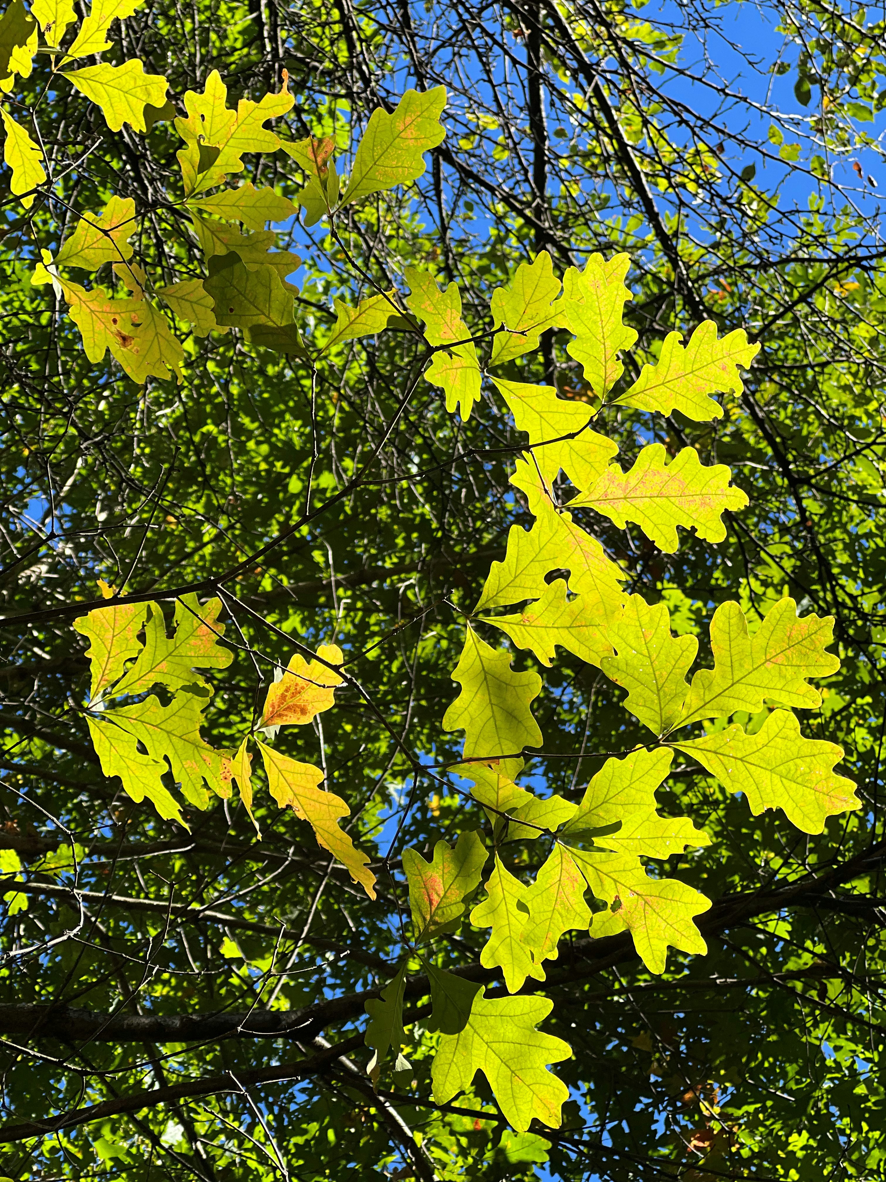 Photo by mike_loftus