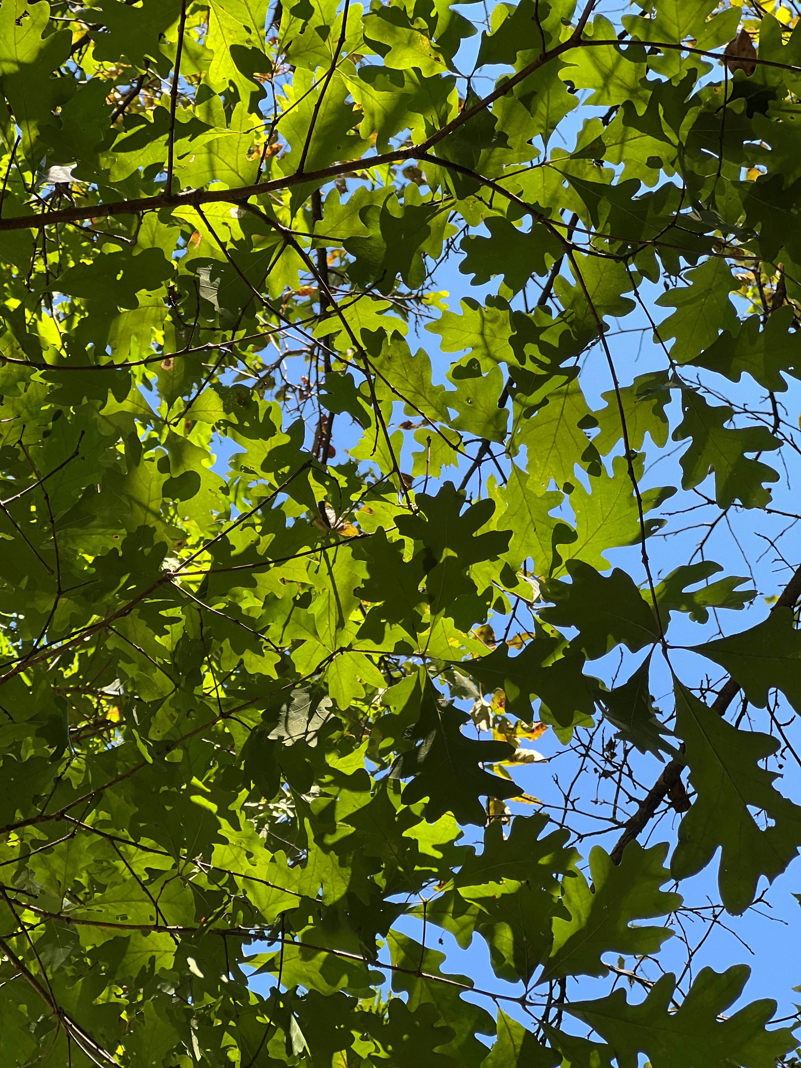 Photo by mike_loftus