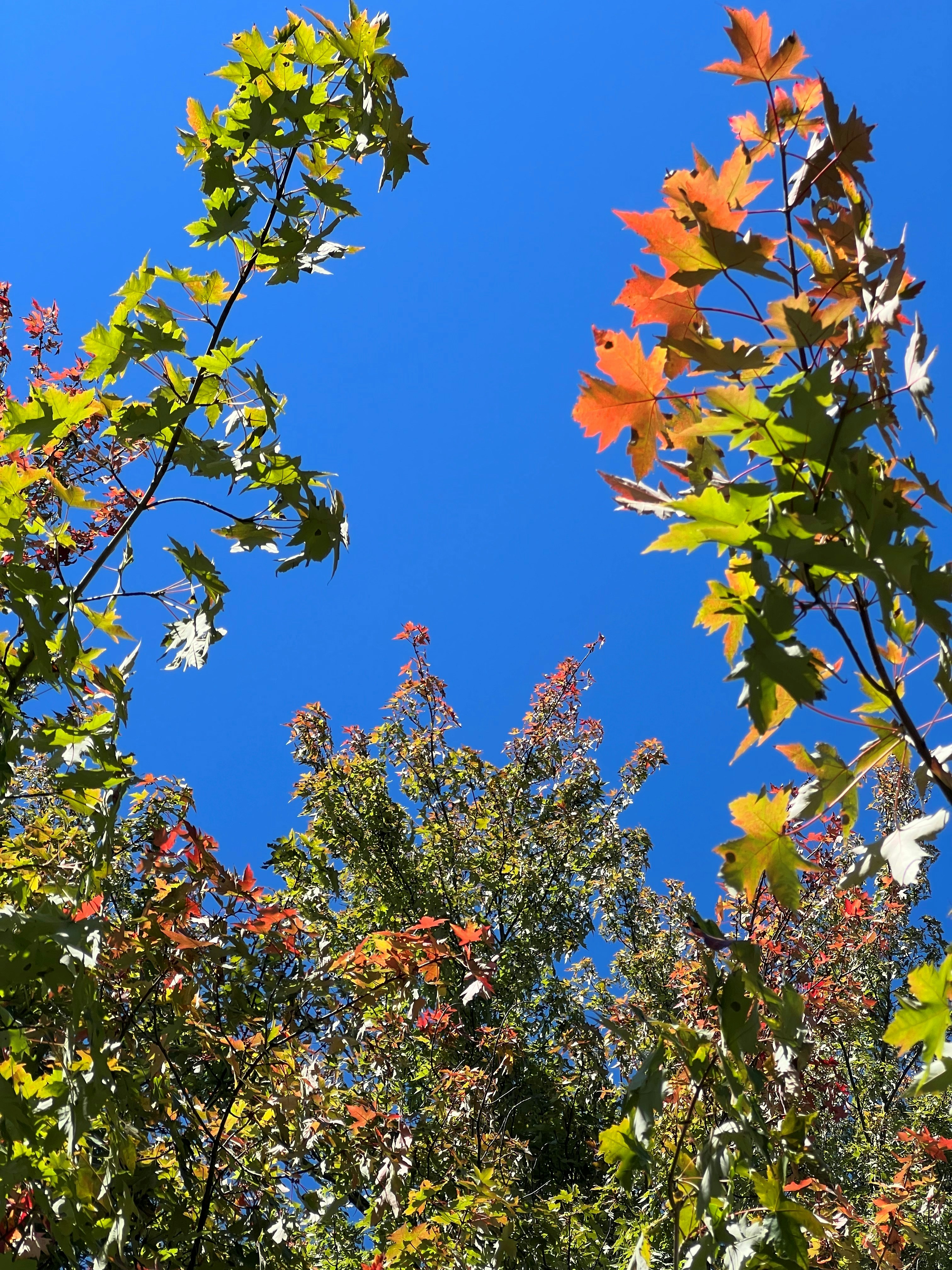 Photo by mike_loftus