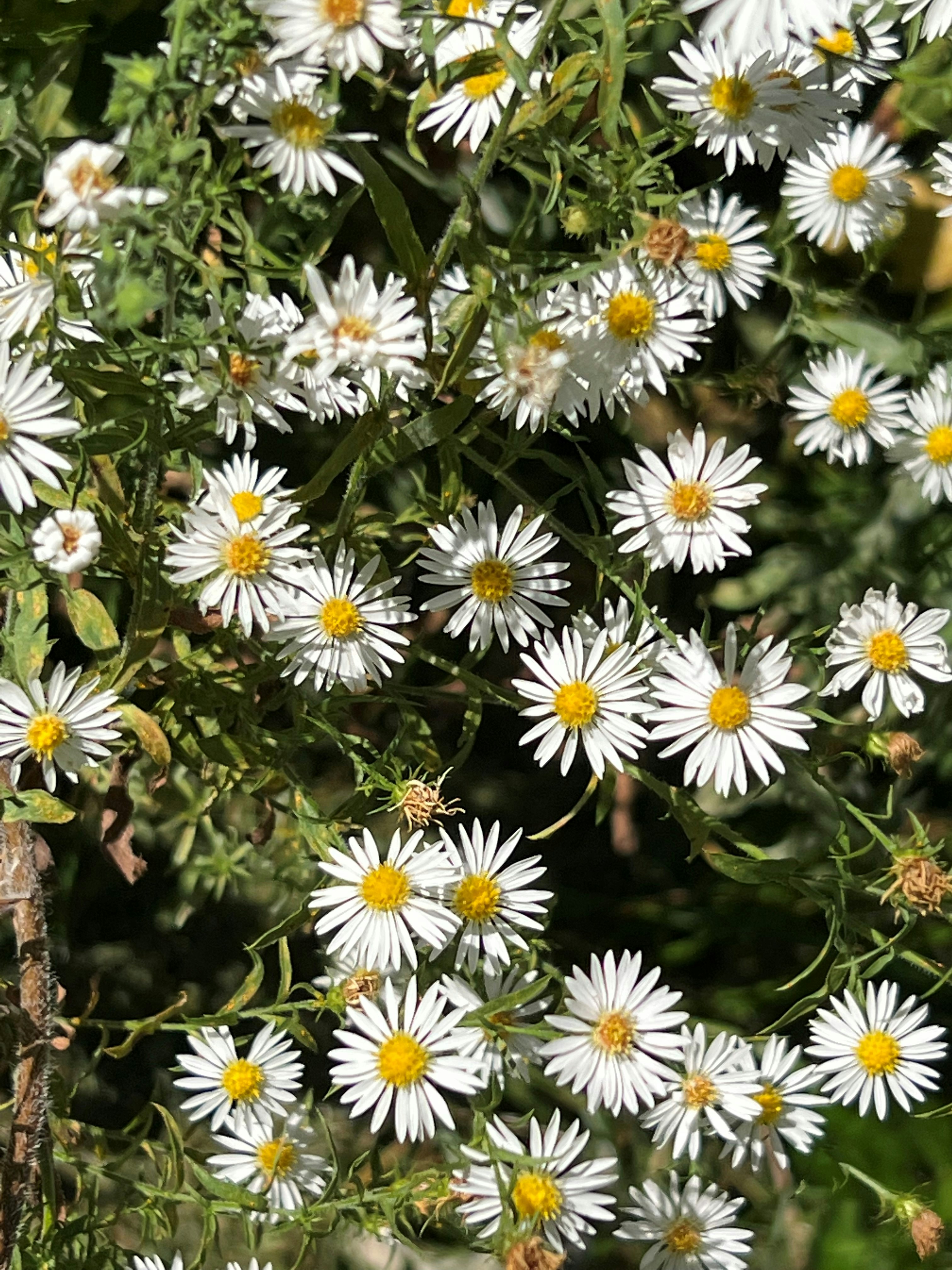 Photo by mike_loftus