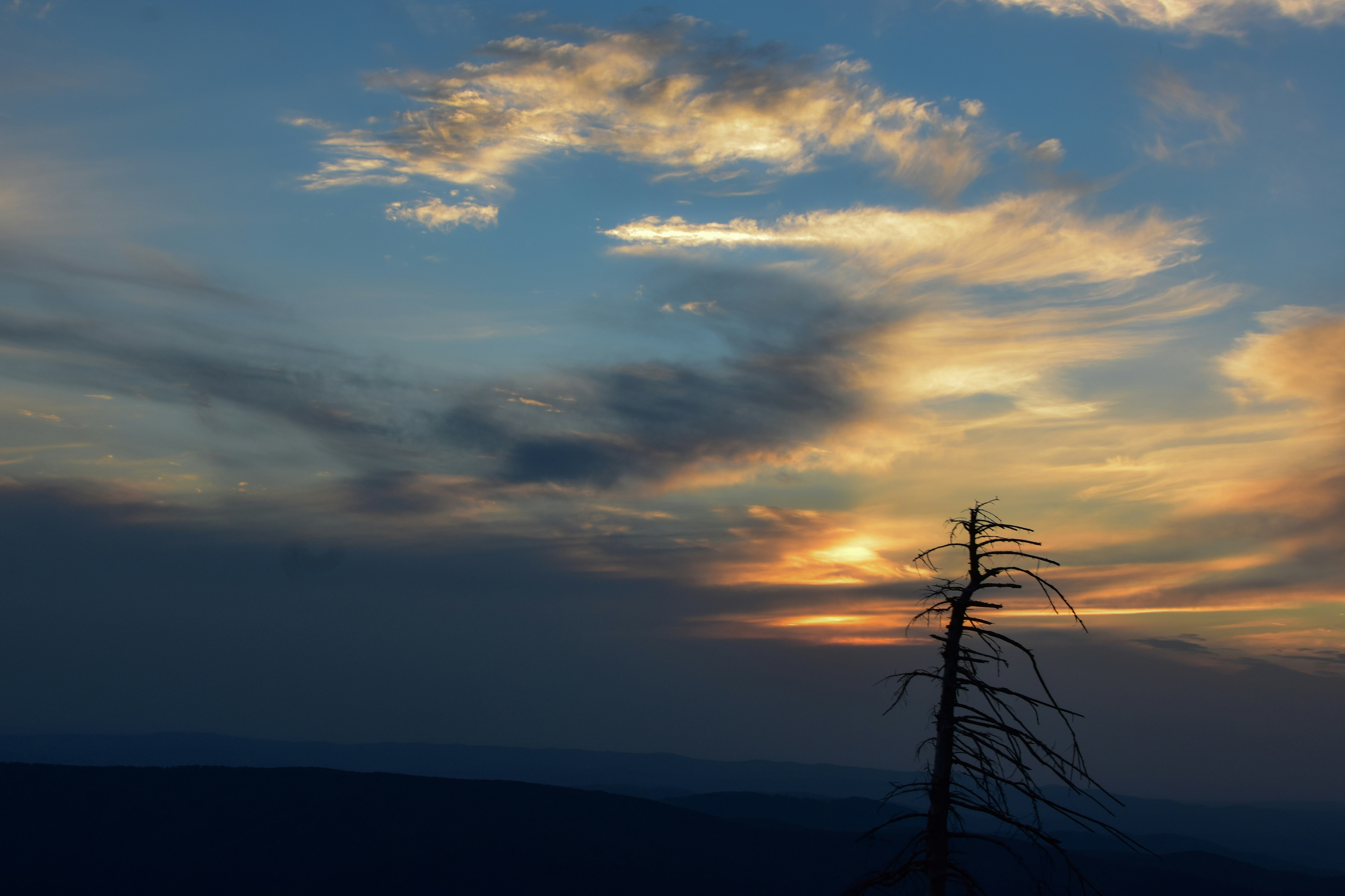 Photo by silverius89