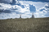 windmills in a field