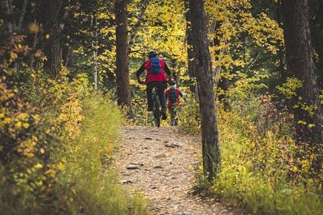 a group of people riding bikes on a trail in the woods