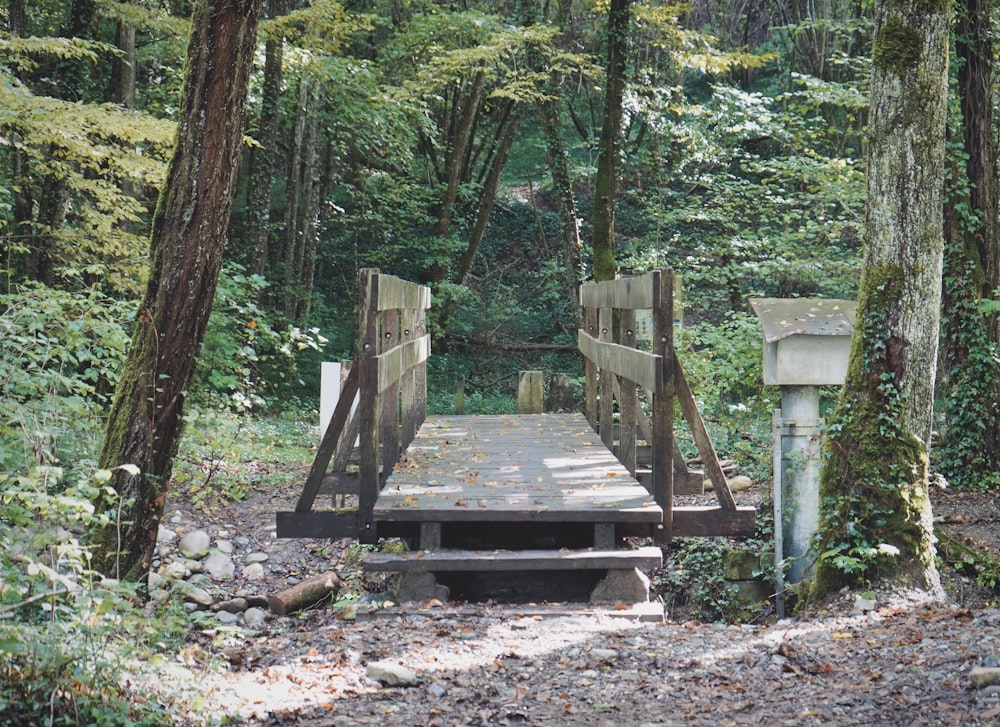 a wooden bridge over a creek