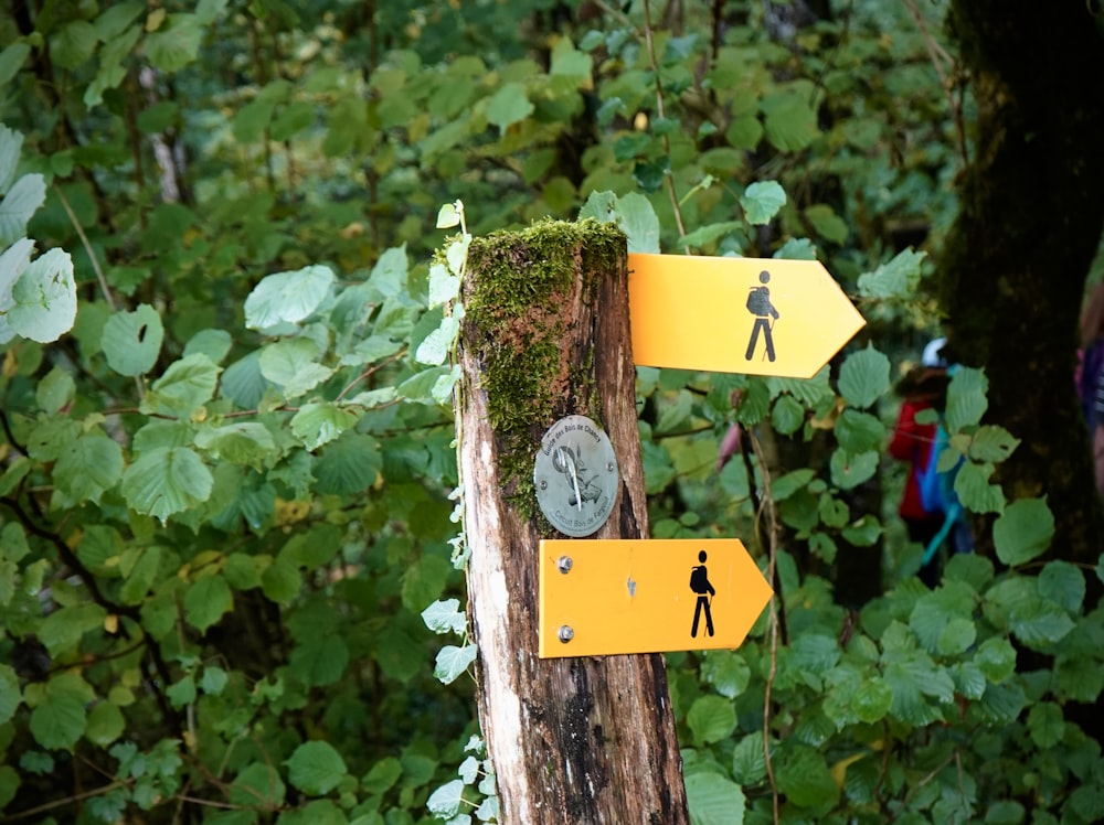 a yellow sign on a wooden post