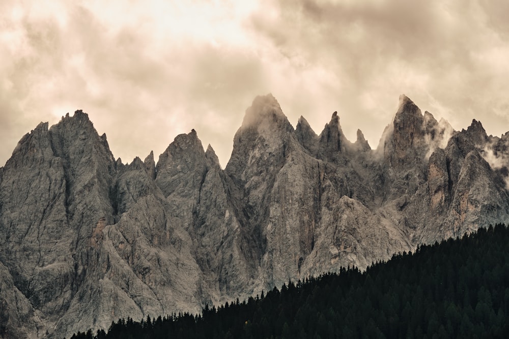 a rocky mountain with trees