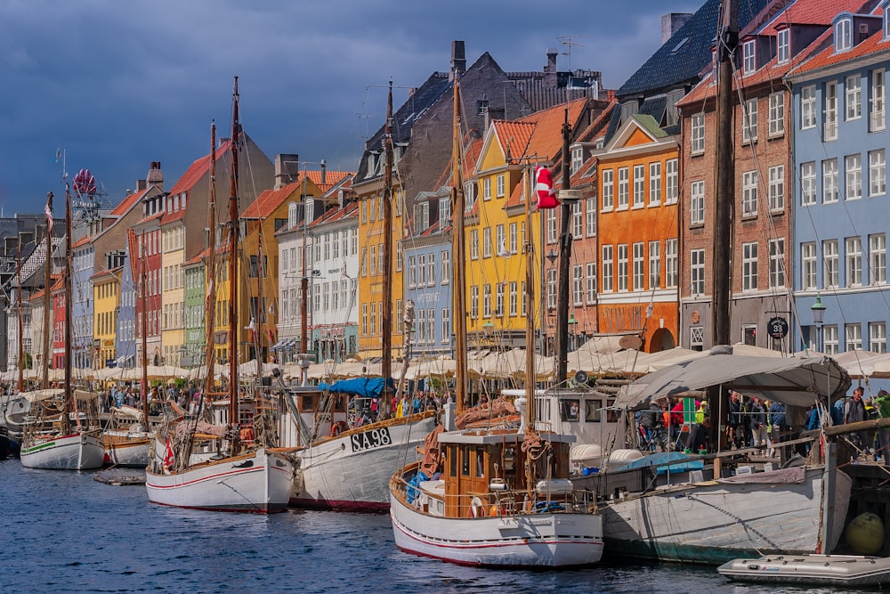 boats docked in a harbor