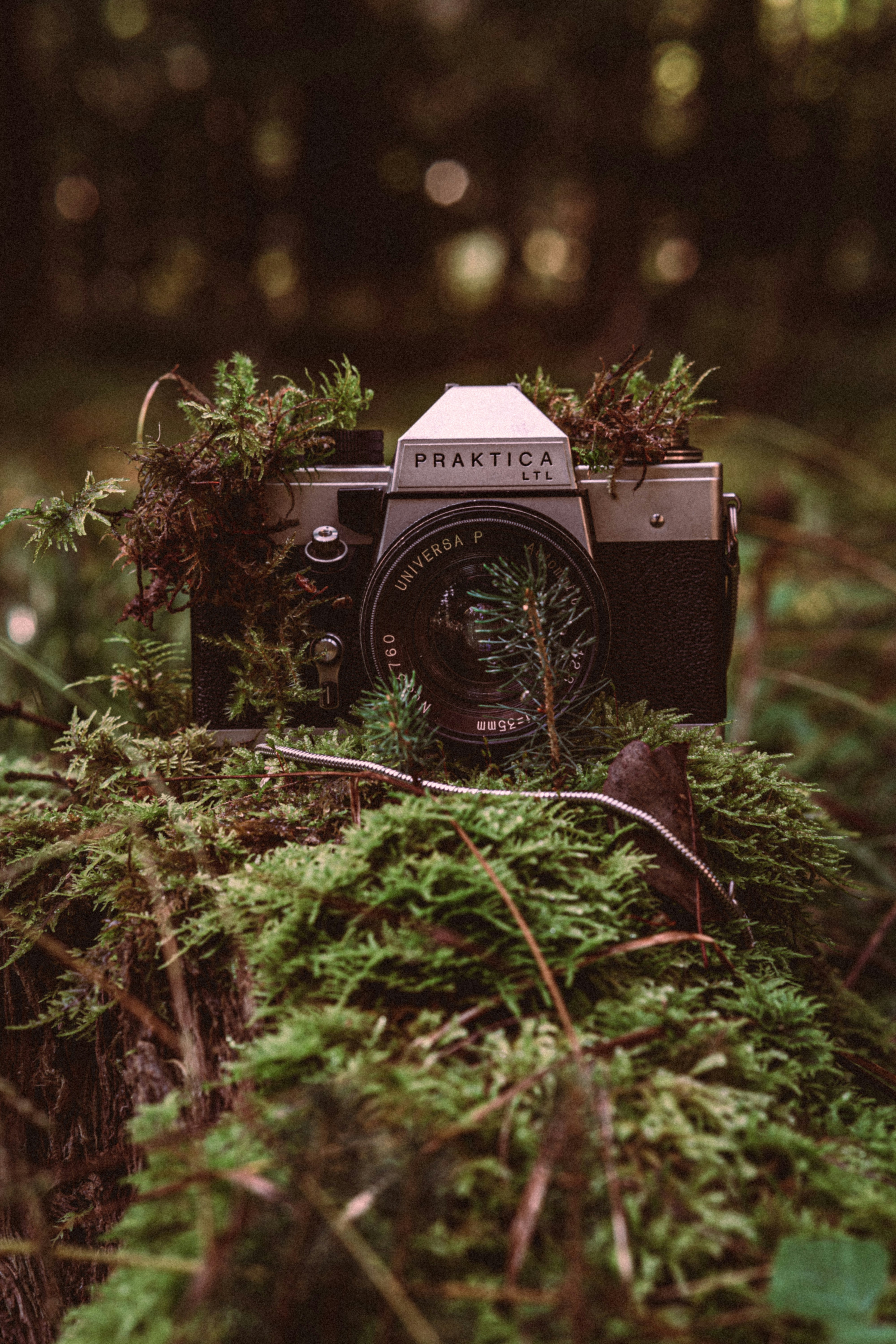 Photo by p_pixels_p