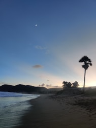 A tranquil beach scene featuring a crescent moon in the sky, a sandy shoreline extending into the distance, gentle ocean waves, and silhouettes of palm trees against the early evening or twilight sky.