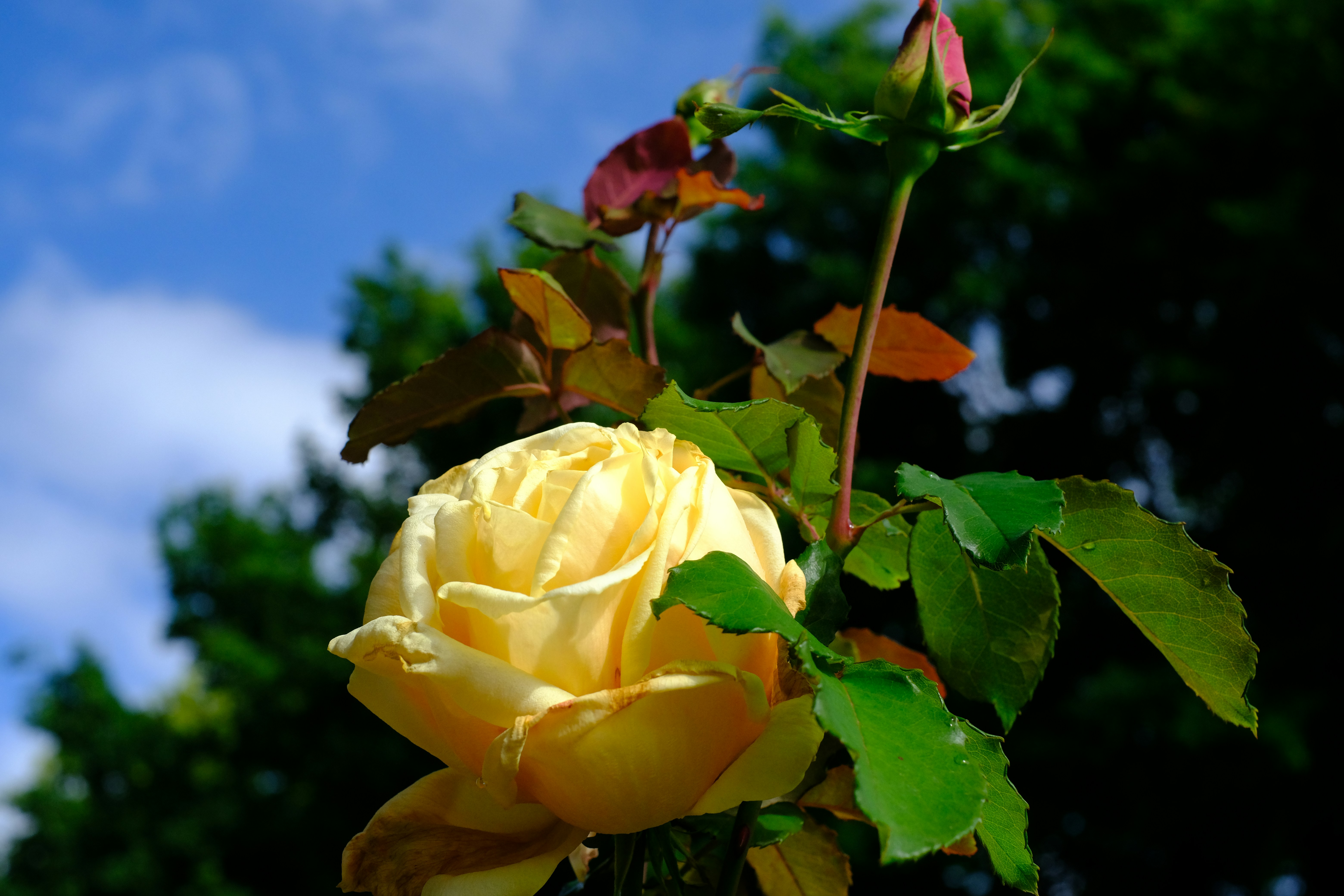 Photo by ingridphotographyuk