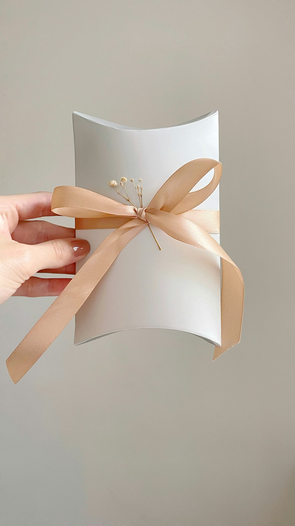a hand holding a paper bag with a bow