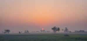 A peaceful rural landscape at dawn, with mist rolling over gentle hills.