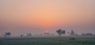 A peaceful rural landscape at dawn, with mist rolling over gentle hills.