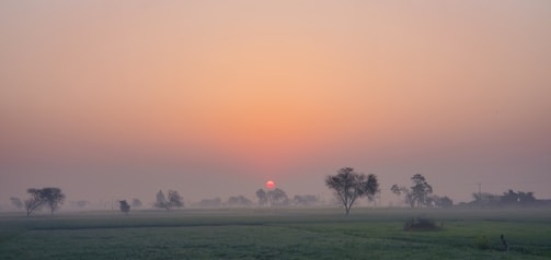 A quiet landscape at dawn with soft light and mist over fields