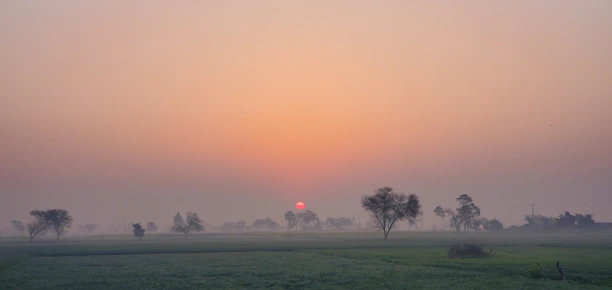 A serene Indian farm landscape at dawn with dew-kissed crops and a warm terracotta sky.
