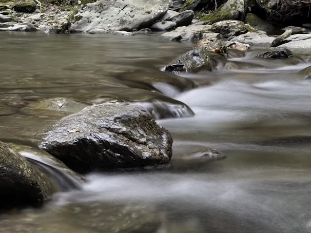 An artistic video still showing the gentle flow of water in a natural stream.