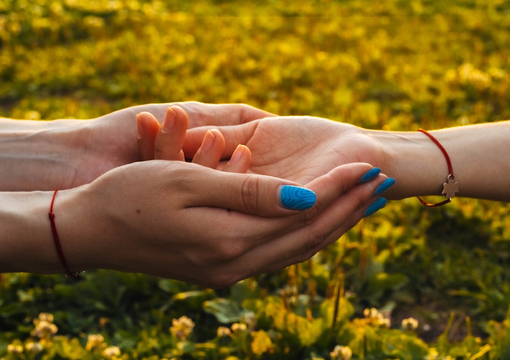 a pair of hands holding each other