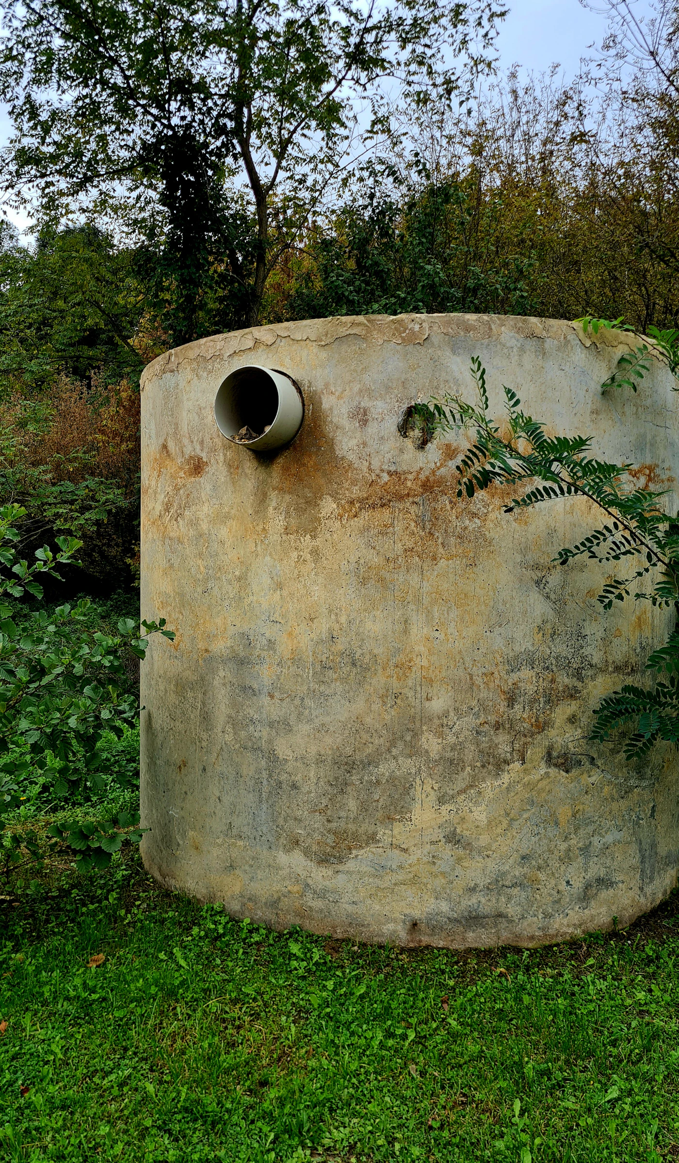 Septic system components for a residential property inspection