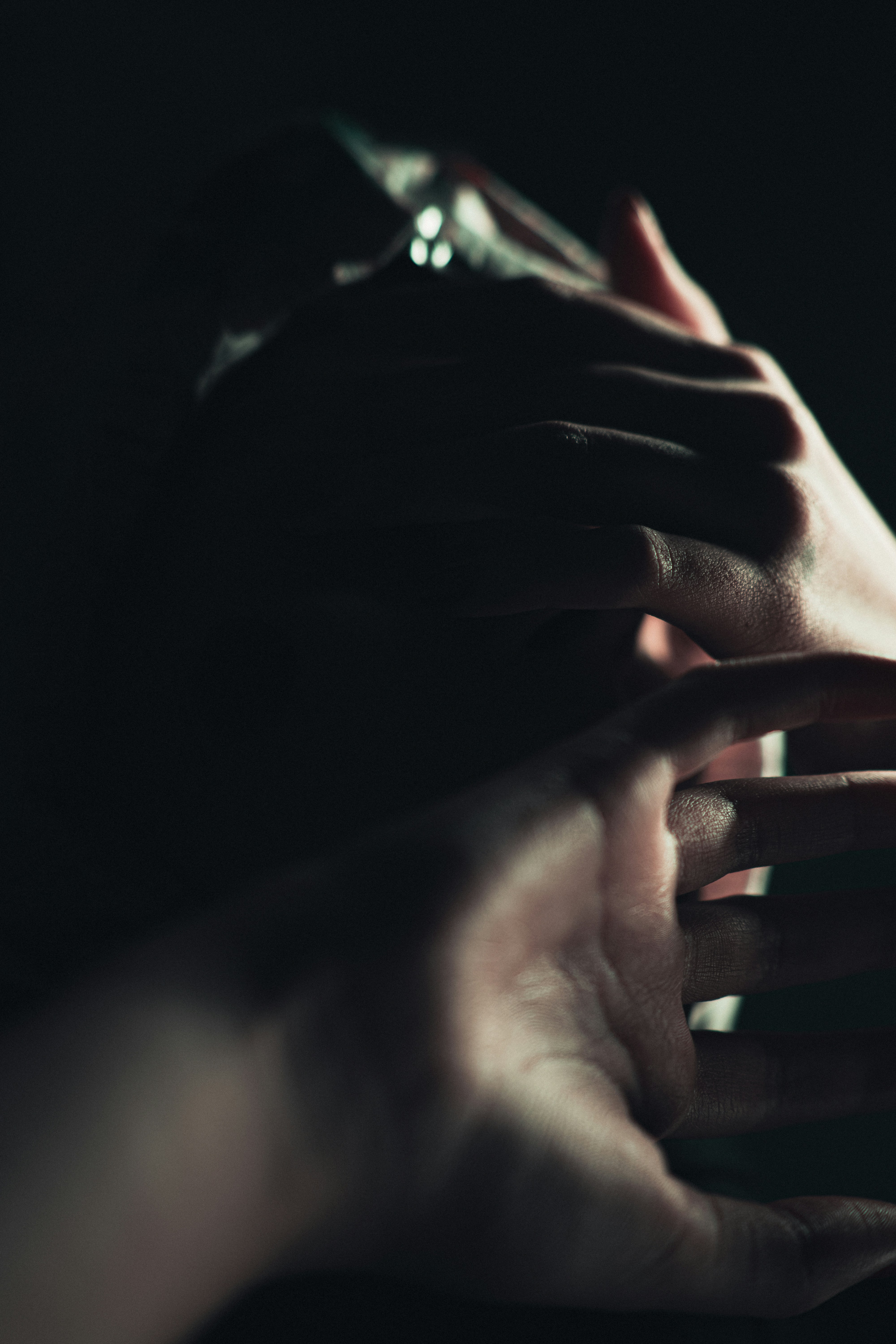 Photo by mahdibafande