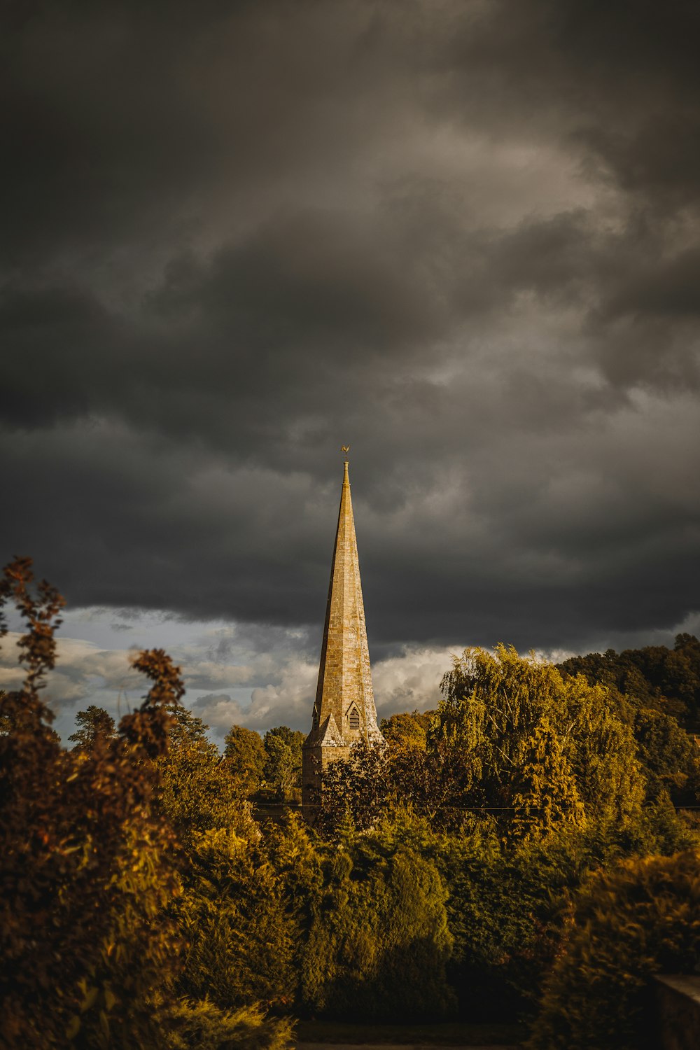 a tall tower with trees around it